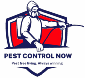 Get Pest Control Now