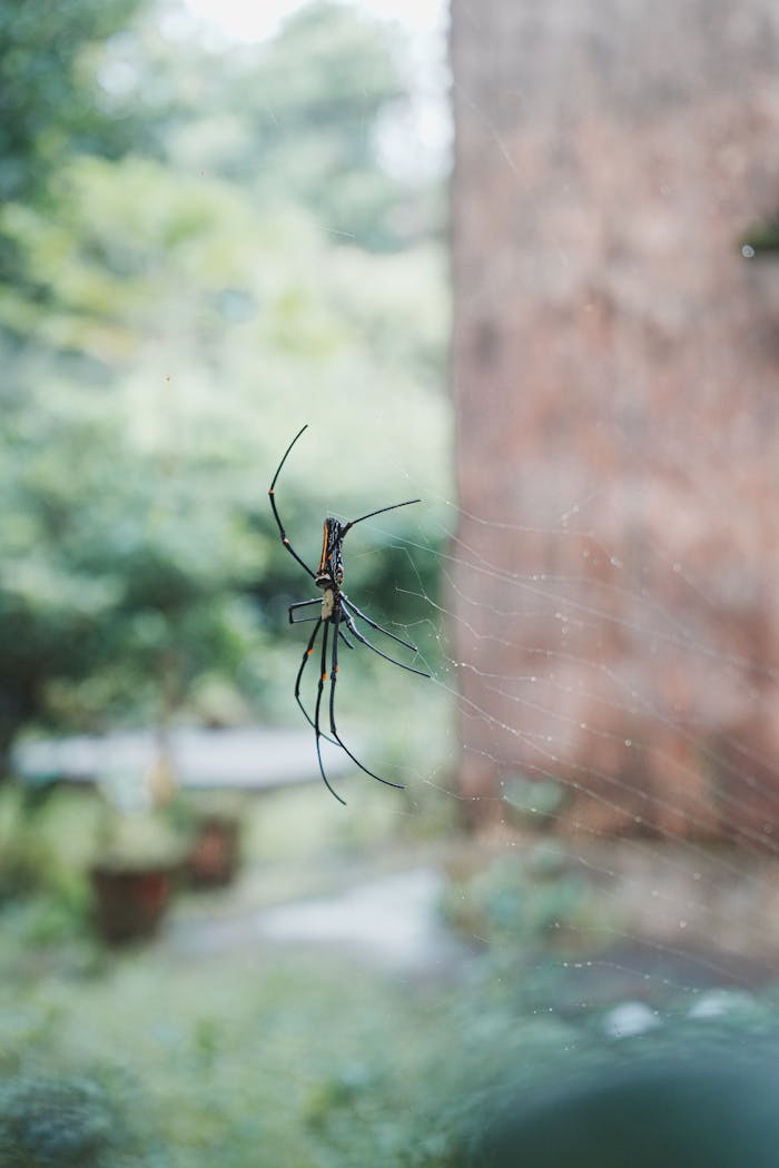 pexels-photo-34183824.jpeg
